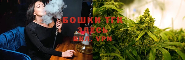 мет Няндома