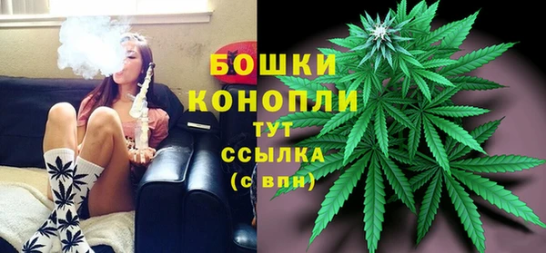 СК Козельск