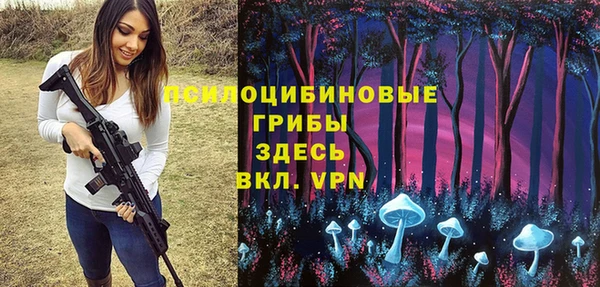 индика Нязепетровск