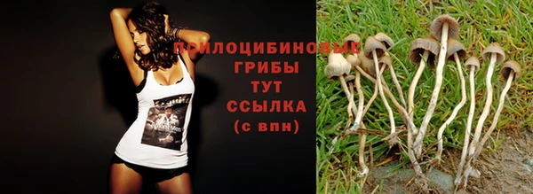 индика Нязепетровск